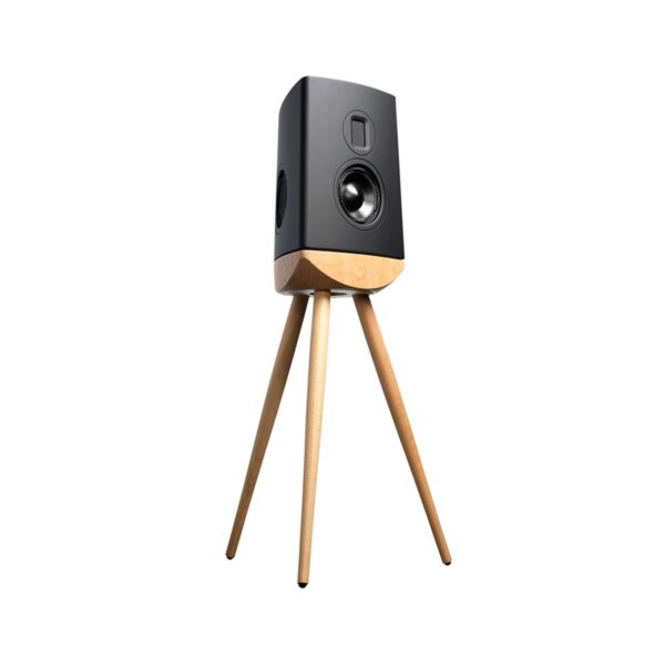 AVCore-Lyngdorf-Audio-Cue--Front-Angled-View- jpg