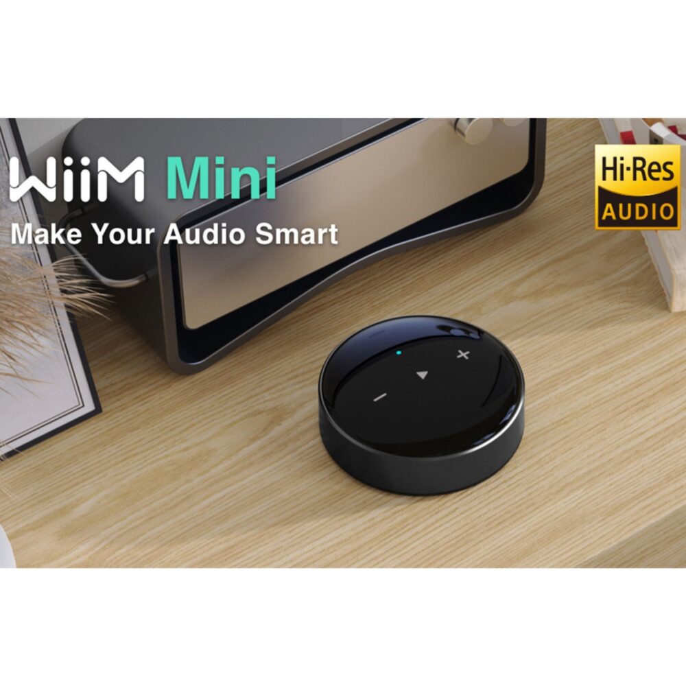 AVCore-WiiM-Mini-Hi-Res-Wireless-Audio-Streamer-Connections jpg