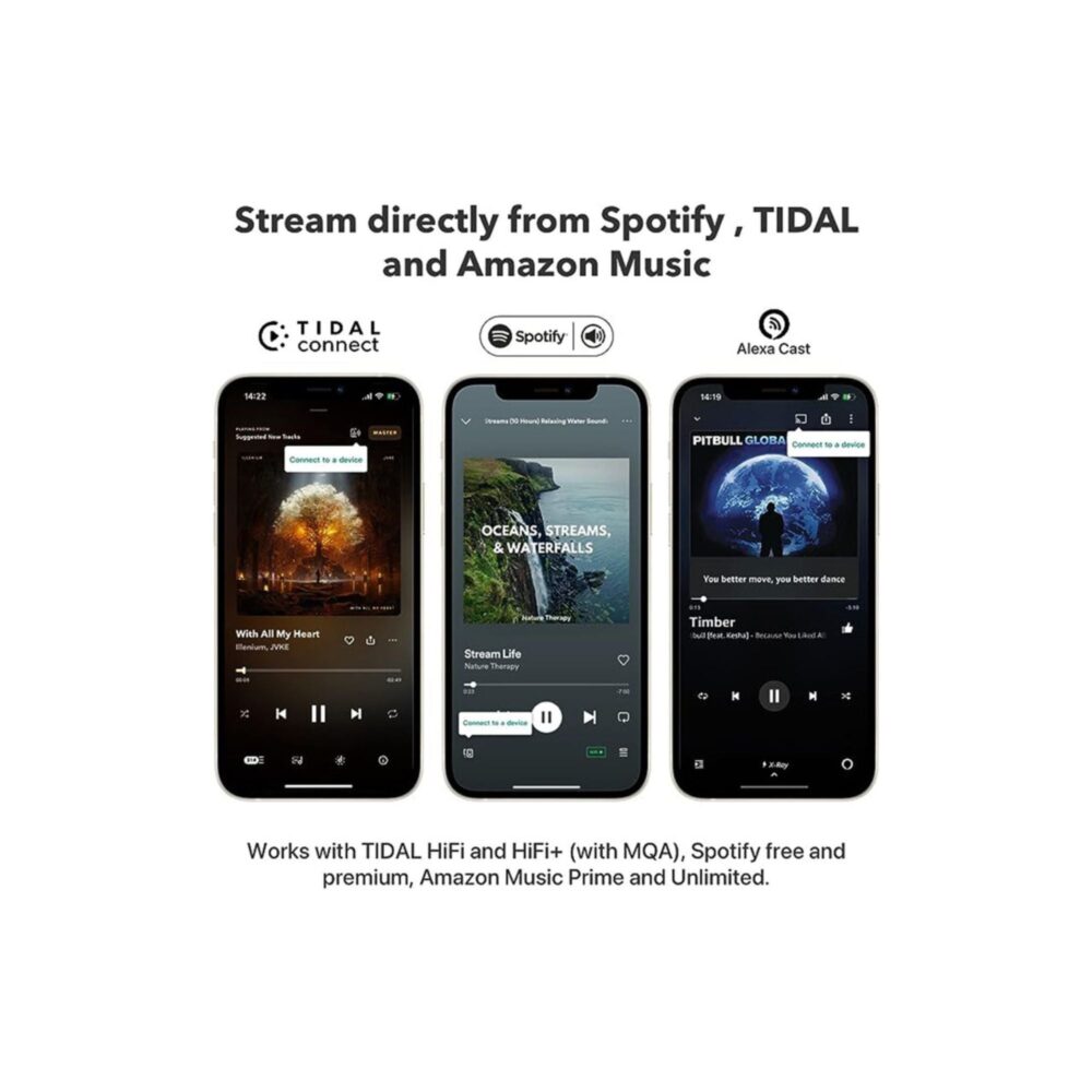 AVCore-WiiM-Mini-Hi-Res-Wireless-Audio-Streamer-Connections jpg