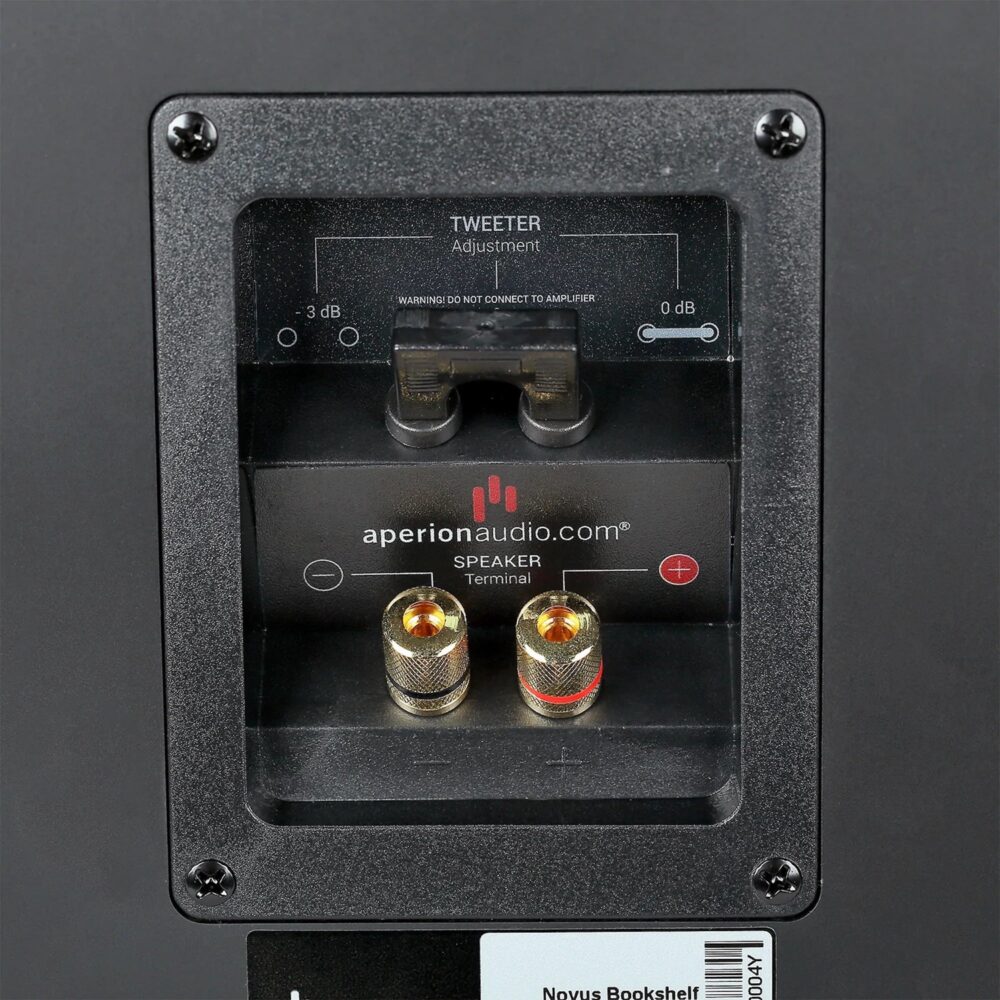 AVCore-Aperion-Audio-Novus-NB-Matte-Black-Connectors-Closeup jpg