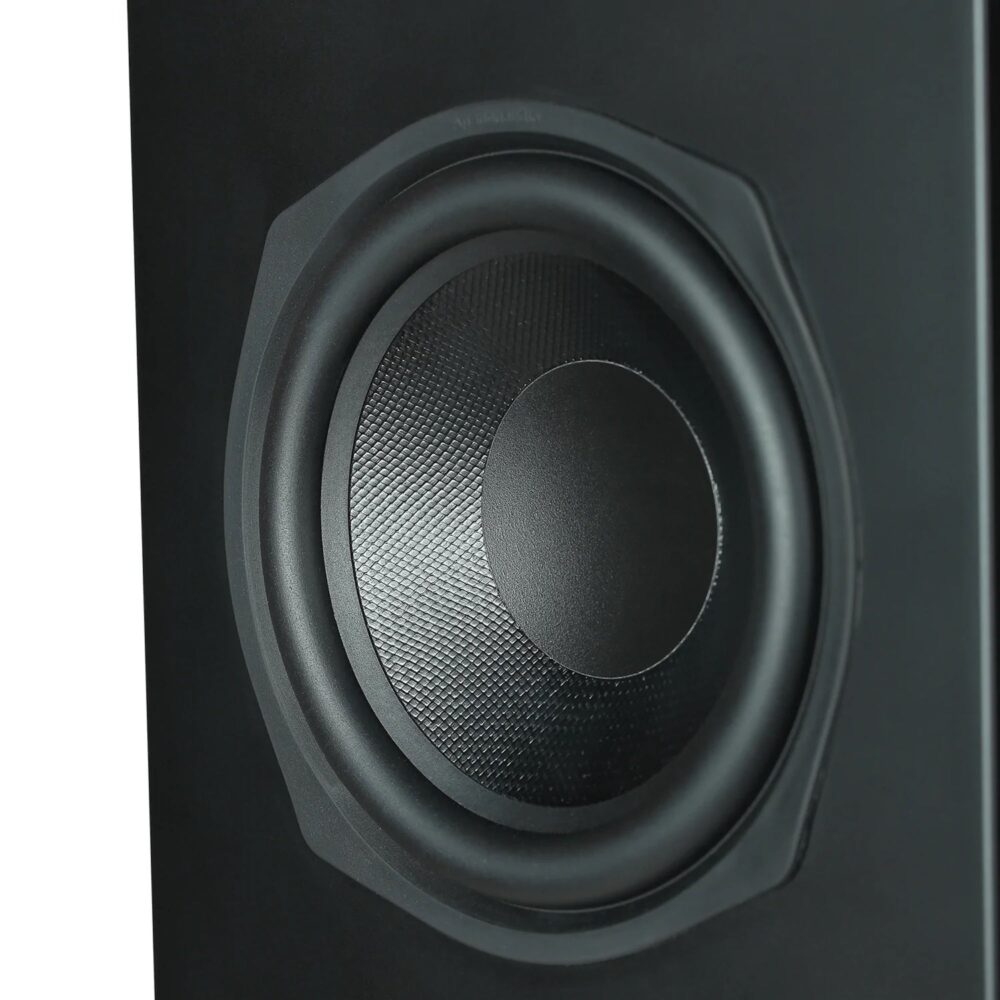AVCore-Aperion-Audio-Novus-NT-Matte-Black-Woofer jpg